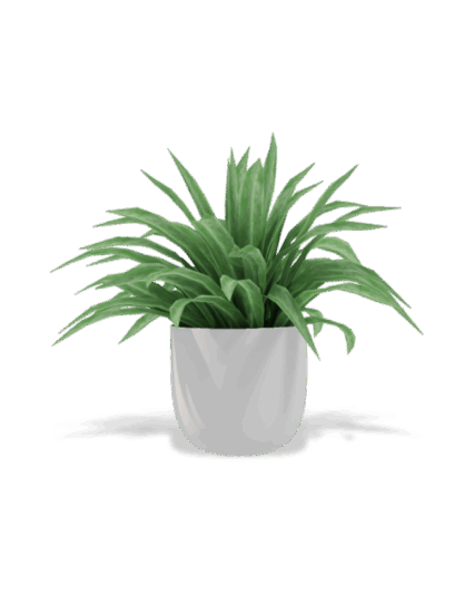 shop-bg-01