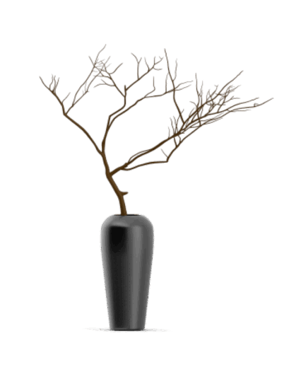 shop-bg-11